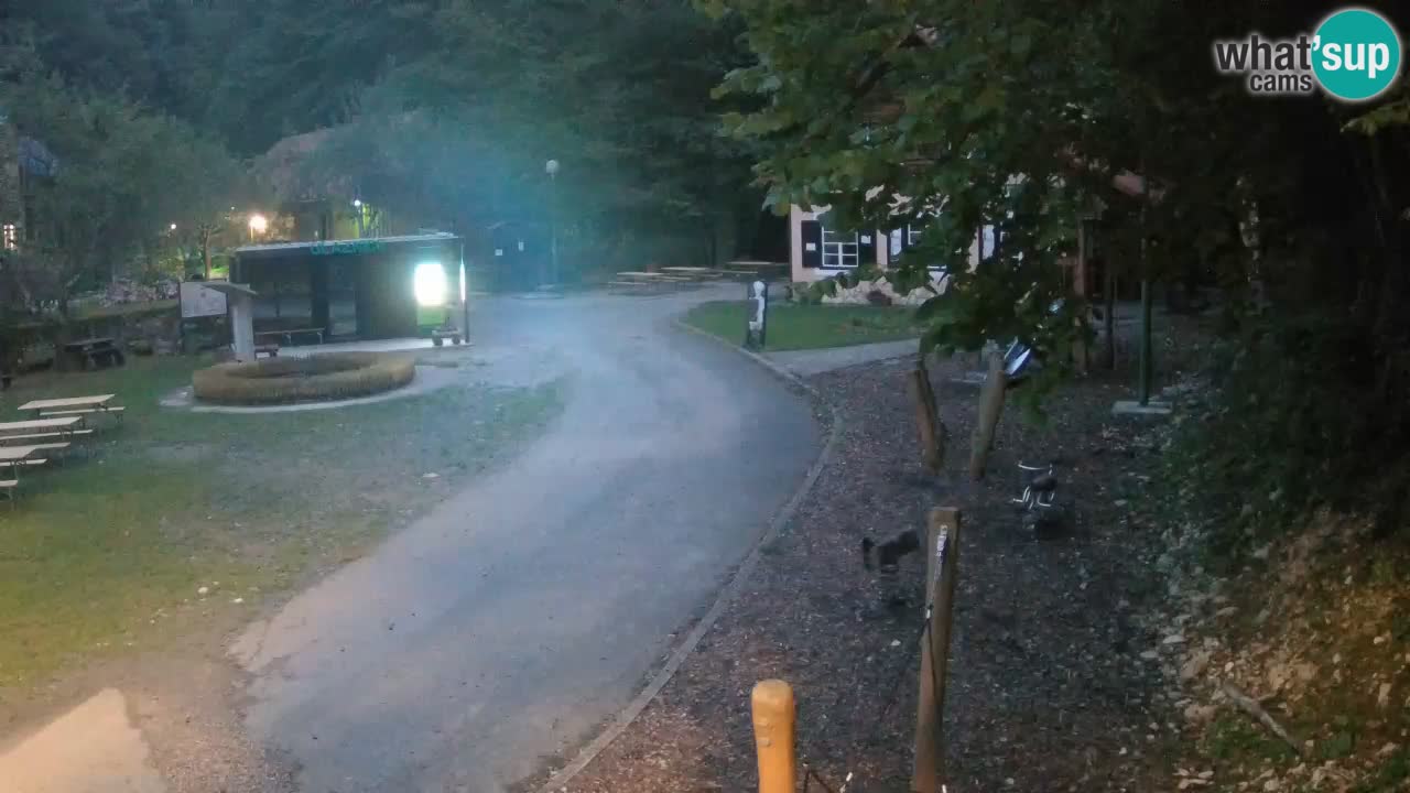 Skrad webcam Zeleni Vir