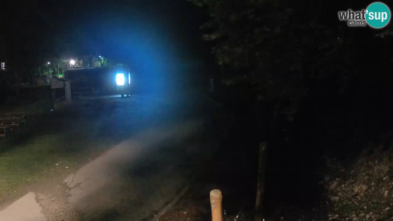 Skrad webcam Zeleni Vir