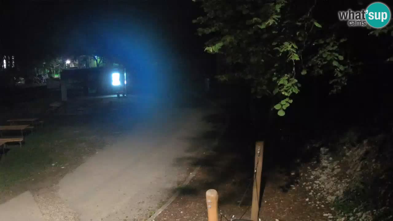 Skrad spletna kamera Zeleni Vir