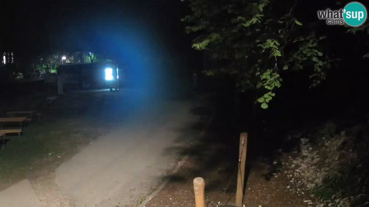 Skrad webcam Zeleni Vir