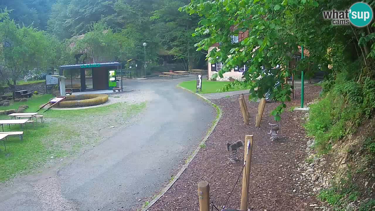 Skrad webcam Zeleni Vir