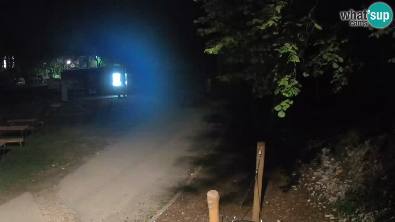 Skrad live cam Zeleni Vir