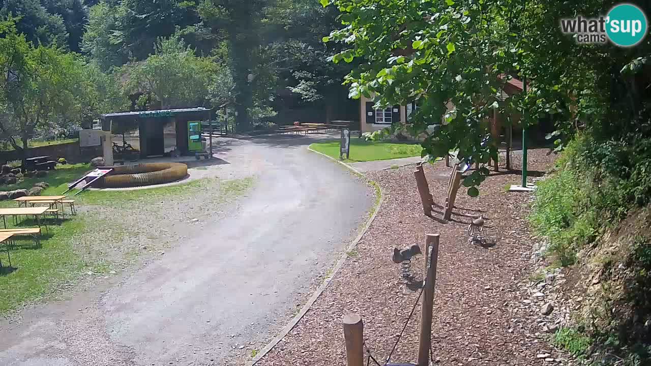 Skrad webcam Zeleni Vir