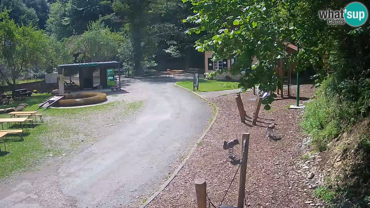 Skrad livecam Zeleni Vir