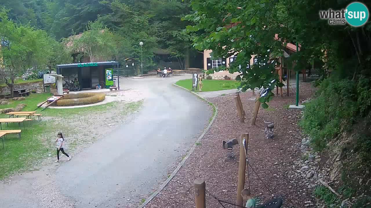 Skrad webcam Zeleni Vir