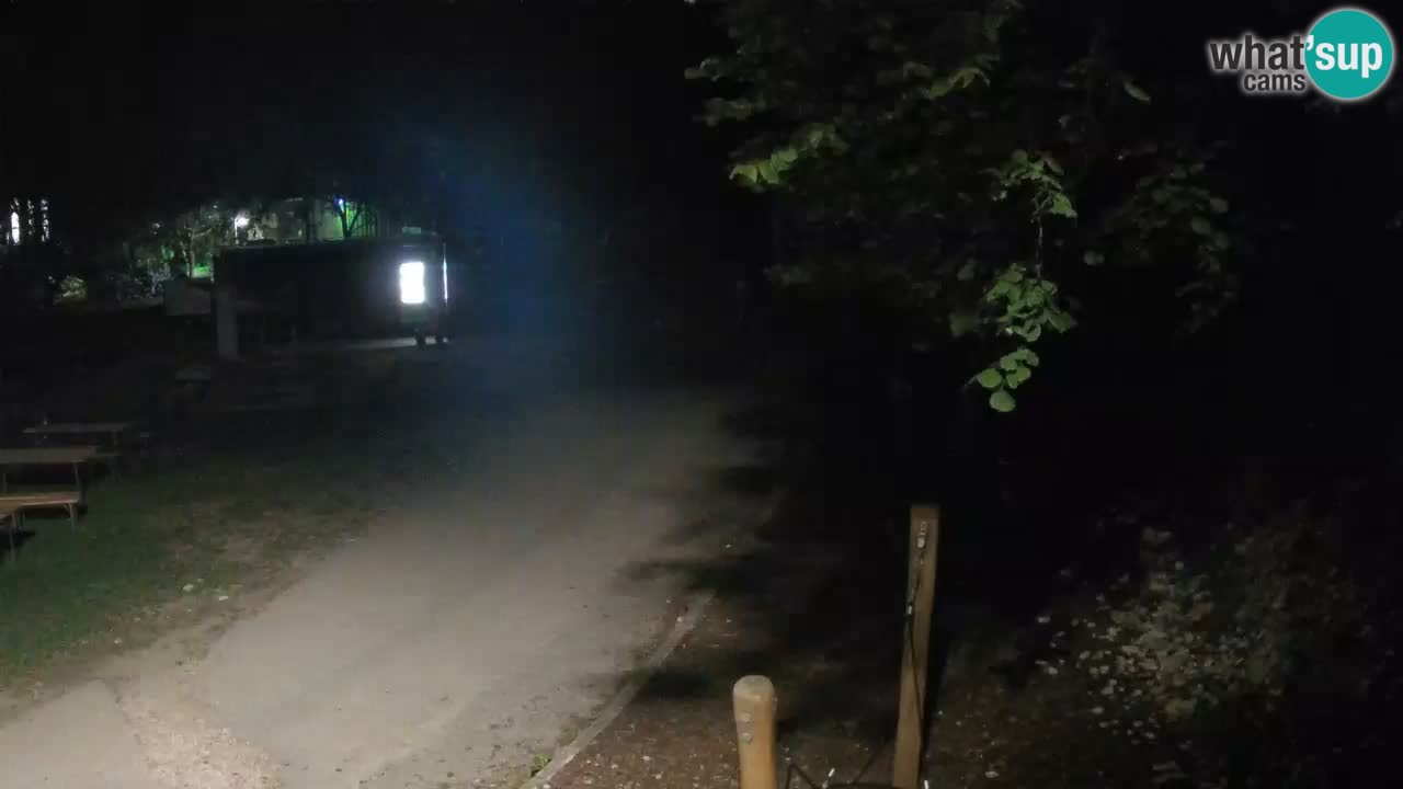 Skrad spletna kamera Zeleni Vir