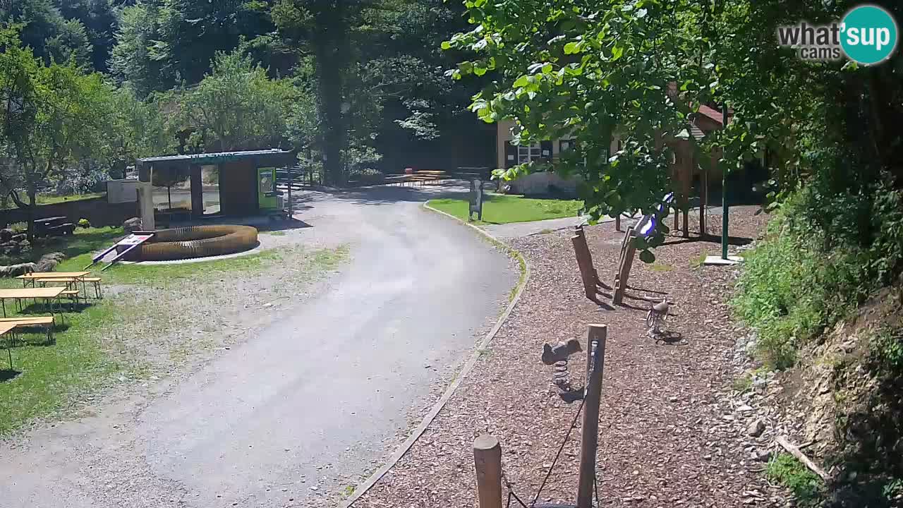 Skrad livecam Zeleni Vir