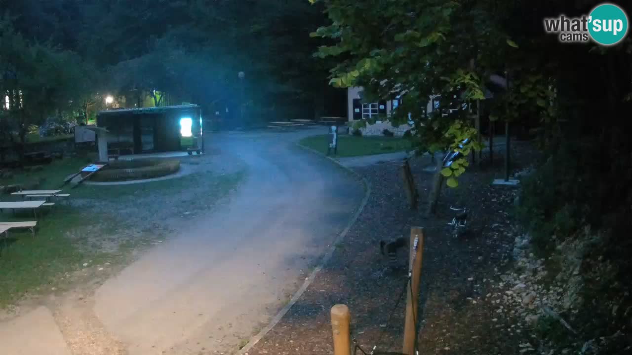 Skrad Livecam Zeleni Vir