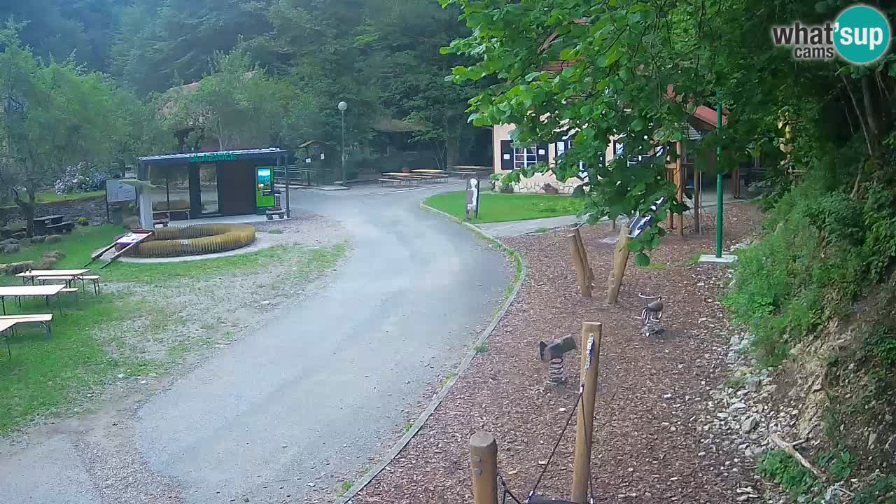 Skrad spletna kamera Zeleni Vir