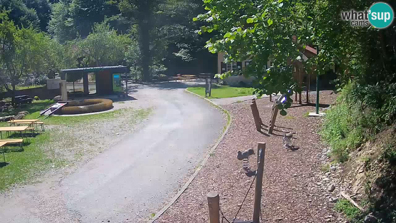 Skrad webcam Zeleni Vir