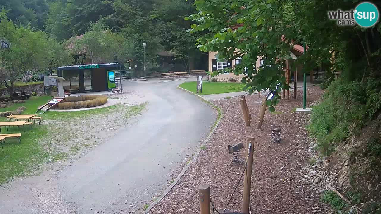 Skrad webcam Zeleni Vir