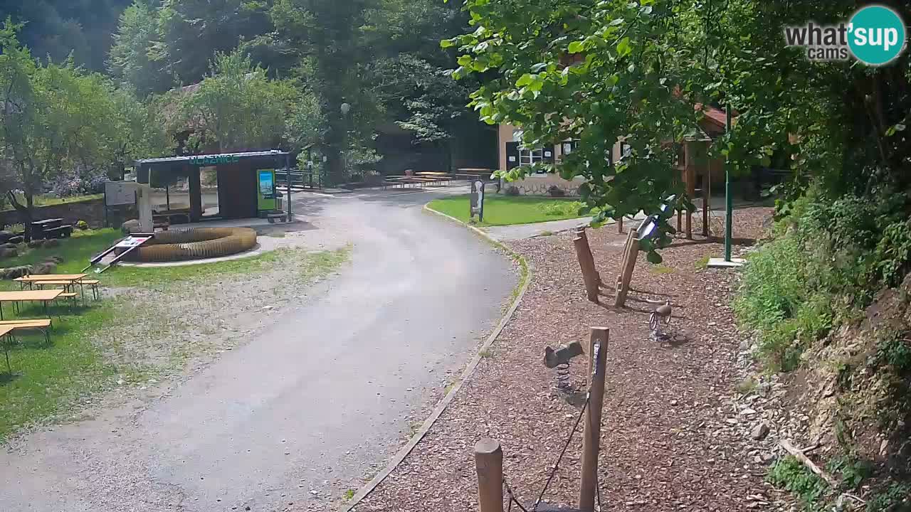 Skrad live cam Zeleni Vir