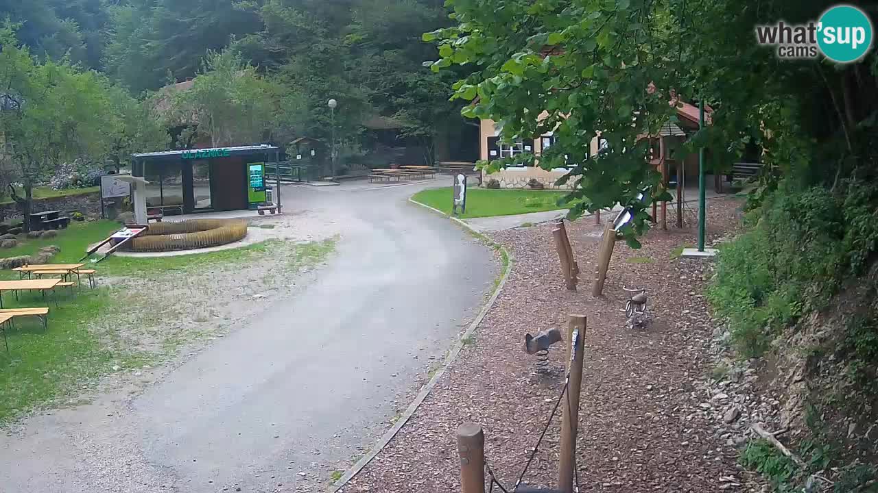 Skrad live cam Zeleni Vir