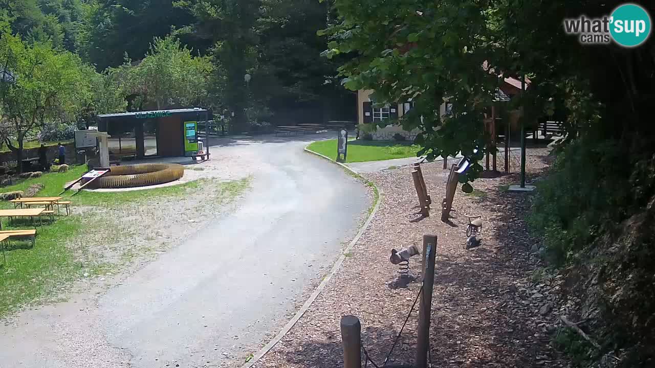 Skrad live cam Zeleni Vir