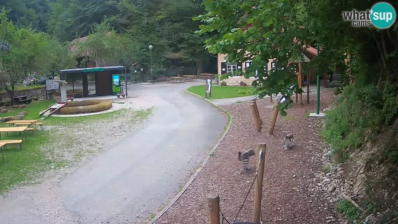 Skrad live cam Zeleni Vir