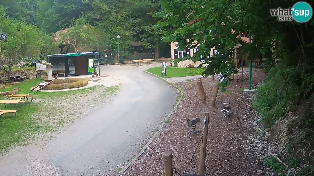 Skrad webcam Zeleni Vir