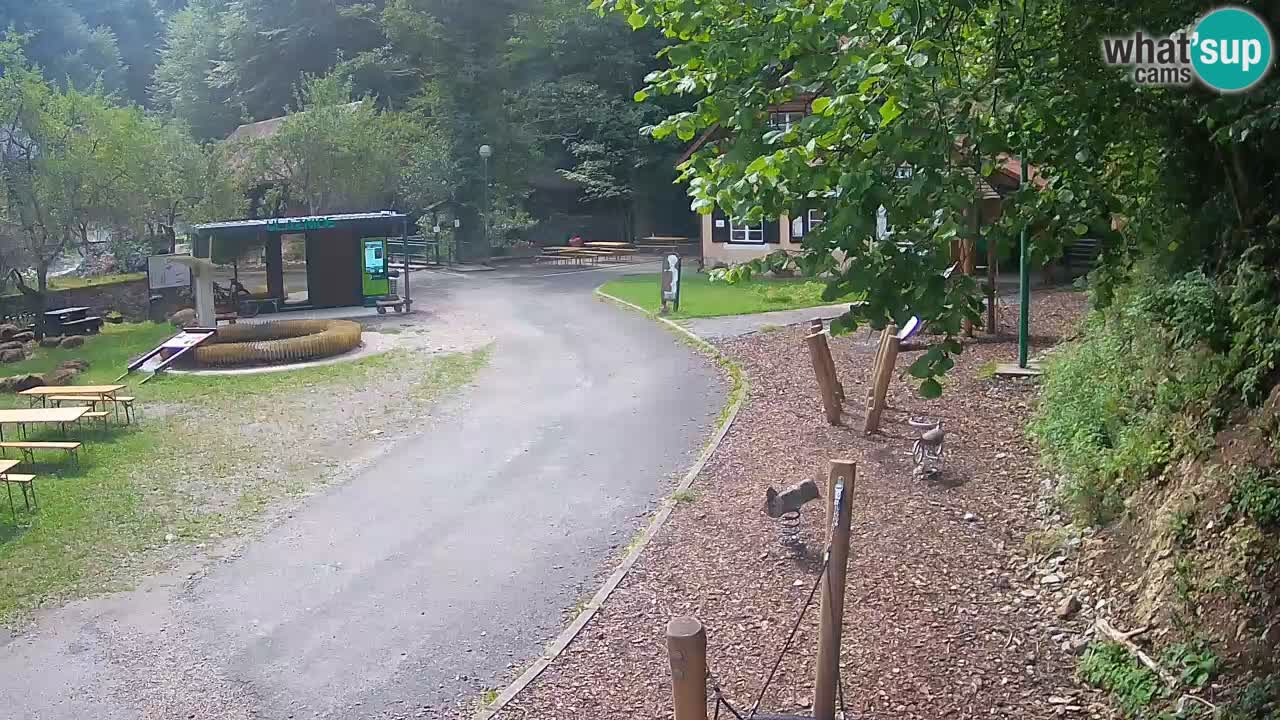 Skrad Livecam Zeleni Vir