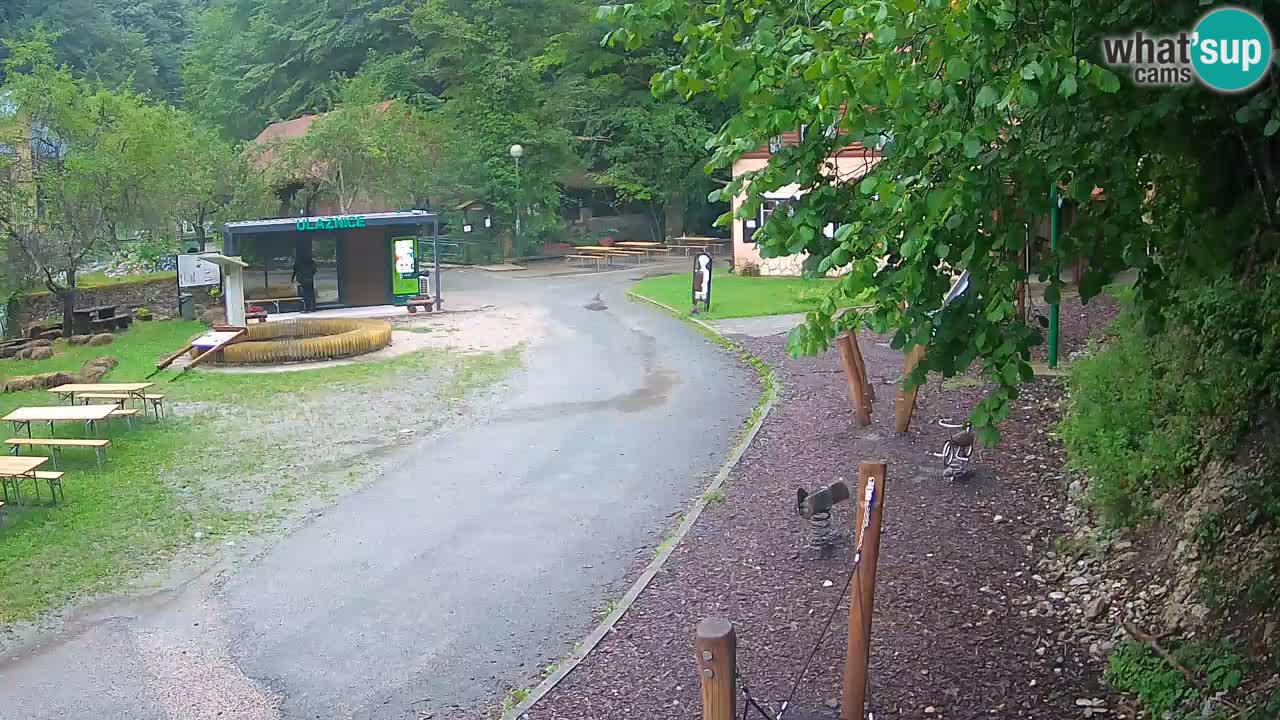 Skrad webcam Zeleni Vir