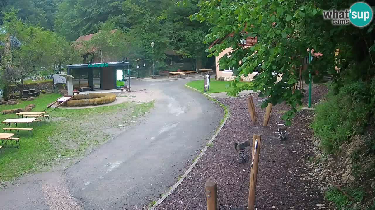 Skrad webcam Zeleni Vir