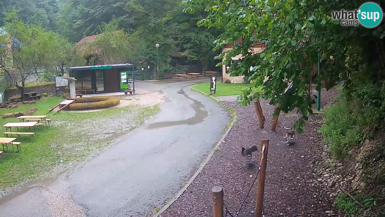Skrad webcam Zeleni Vir