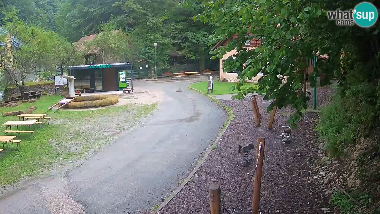 Skrad Livecam Zeleni Vir
