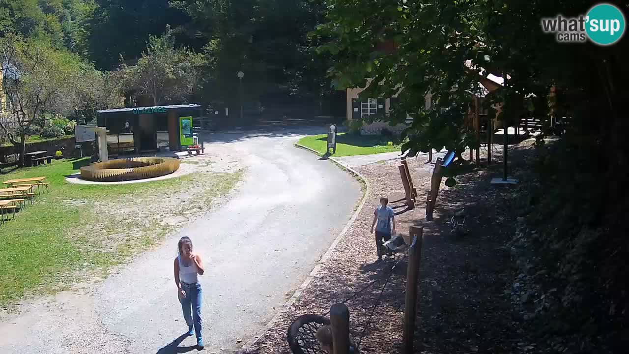 Skrad web kamera Zeleni Vir