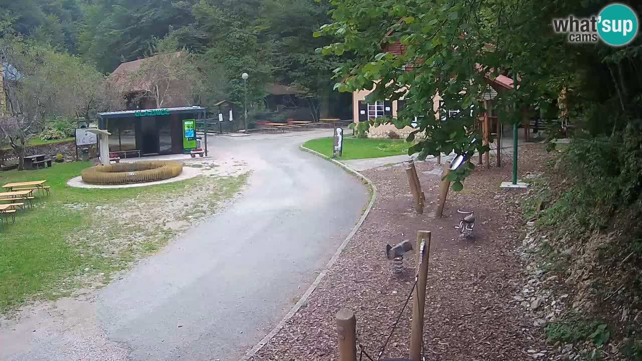 Skrad livecam Zeleni Vir