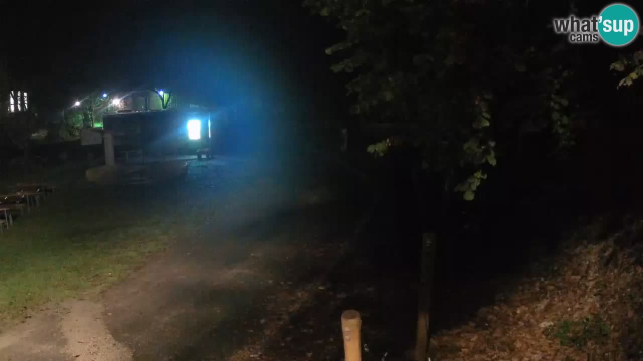 Skrad spletna kamera Zeleni Vir