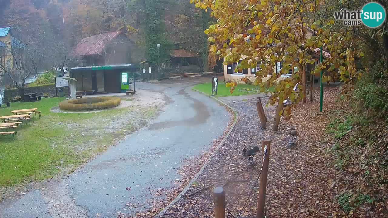 Skrad spletna kamera Zeleni Vir
