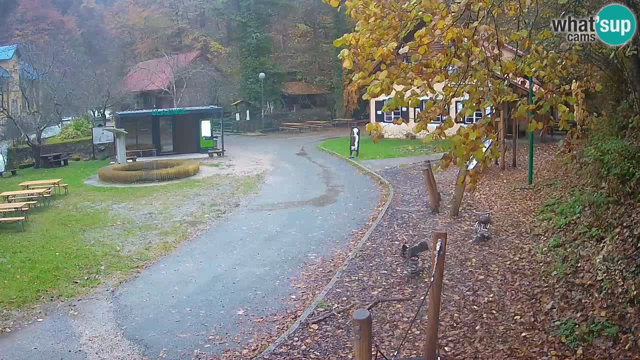 Skrad live cam Zeleni Vir