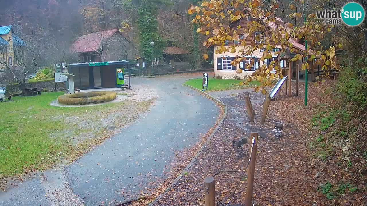 Skrad web kamera Zeleni Vir