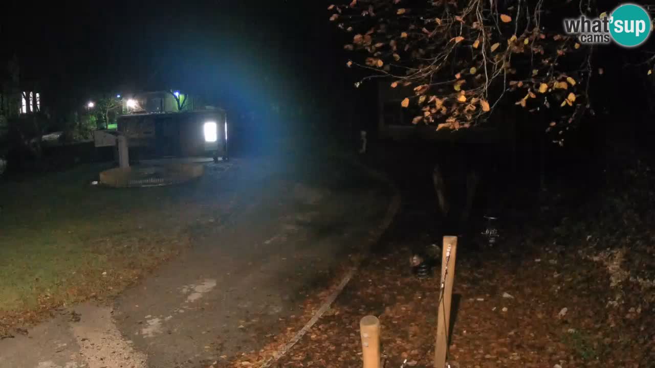 Skrad webcam Zeleni Vir