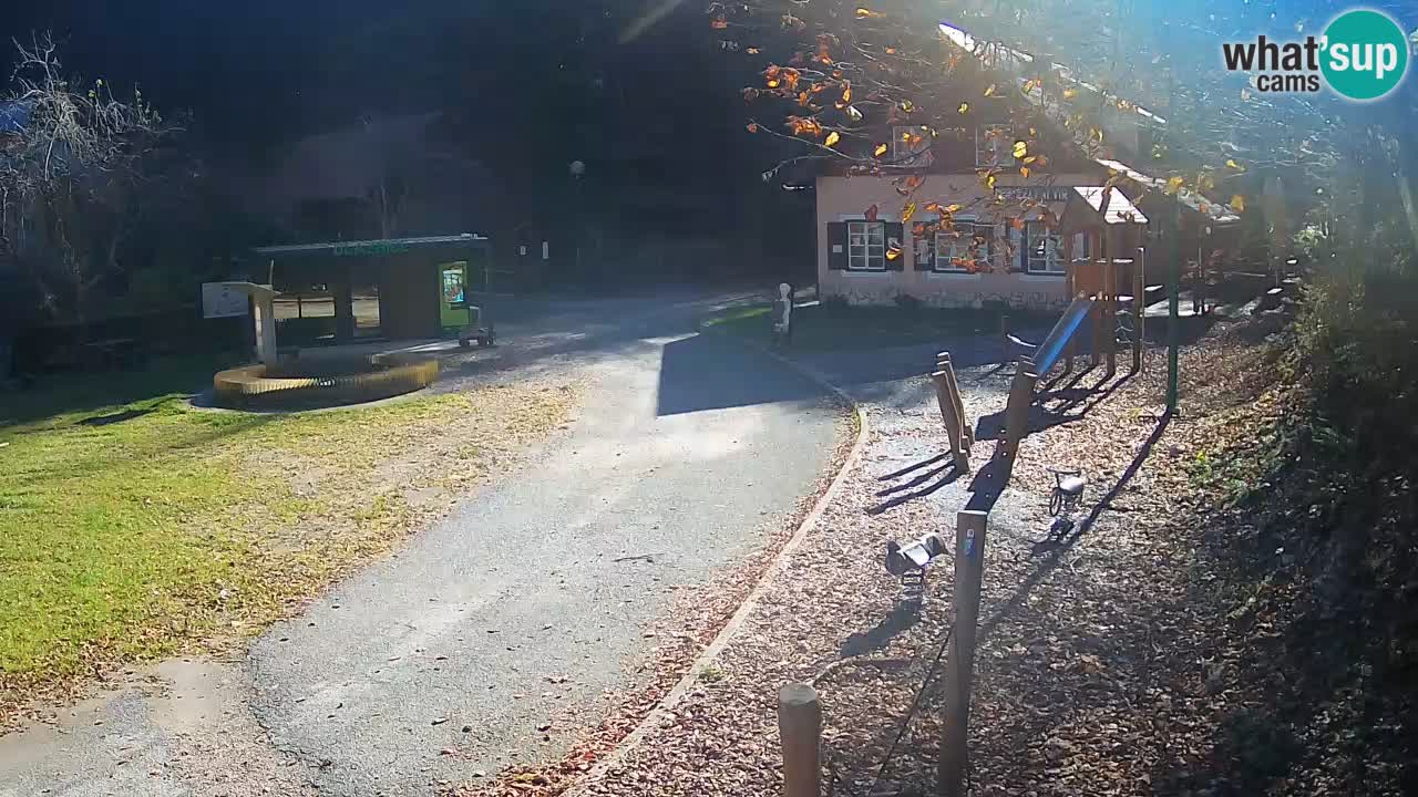 Skrad webcam Zeleni Vir