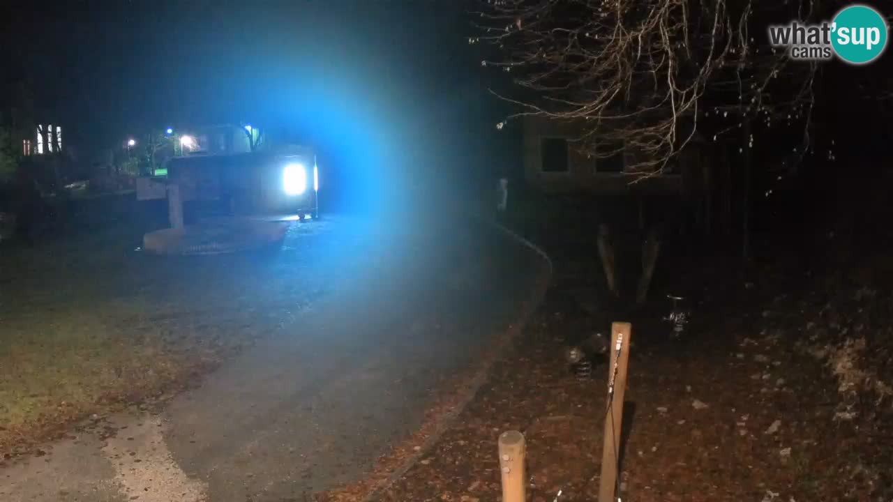 Skrad webcam Zeleni Vir