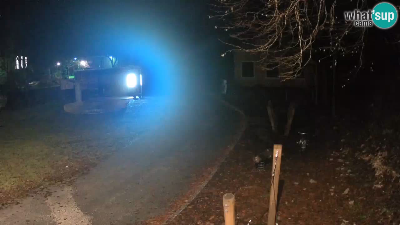 Skrad Livecam Zeleni Vir