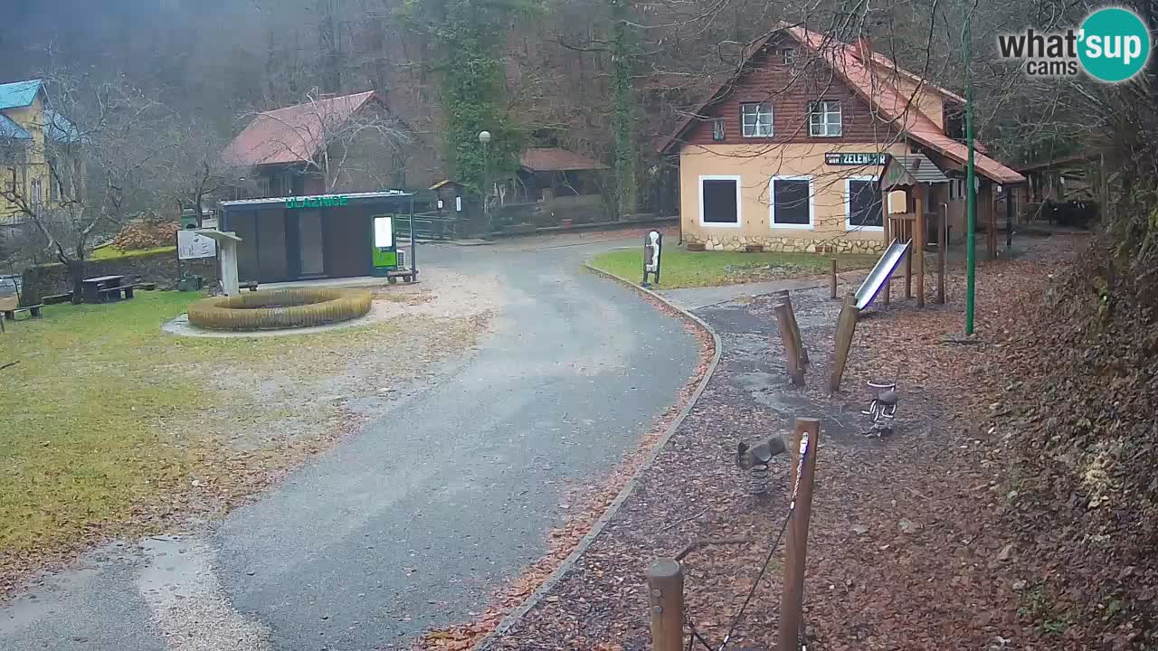 Skrad spletna kamera Zeleni Vir
