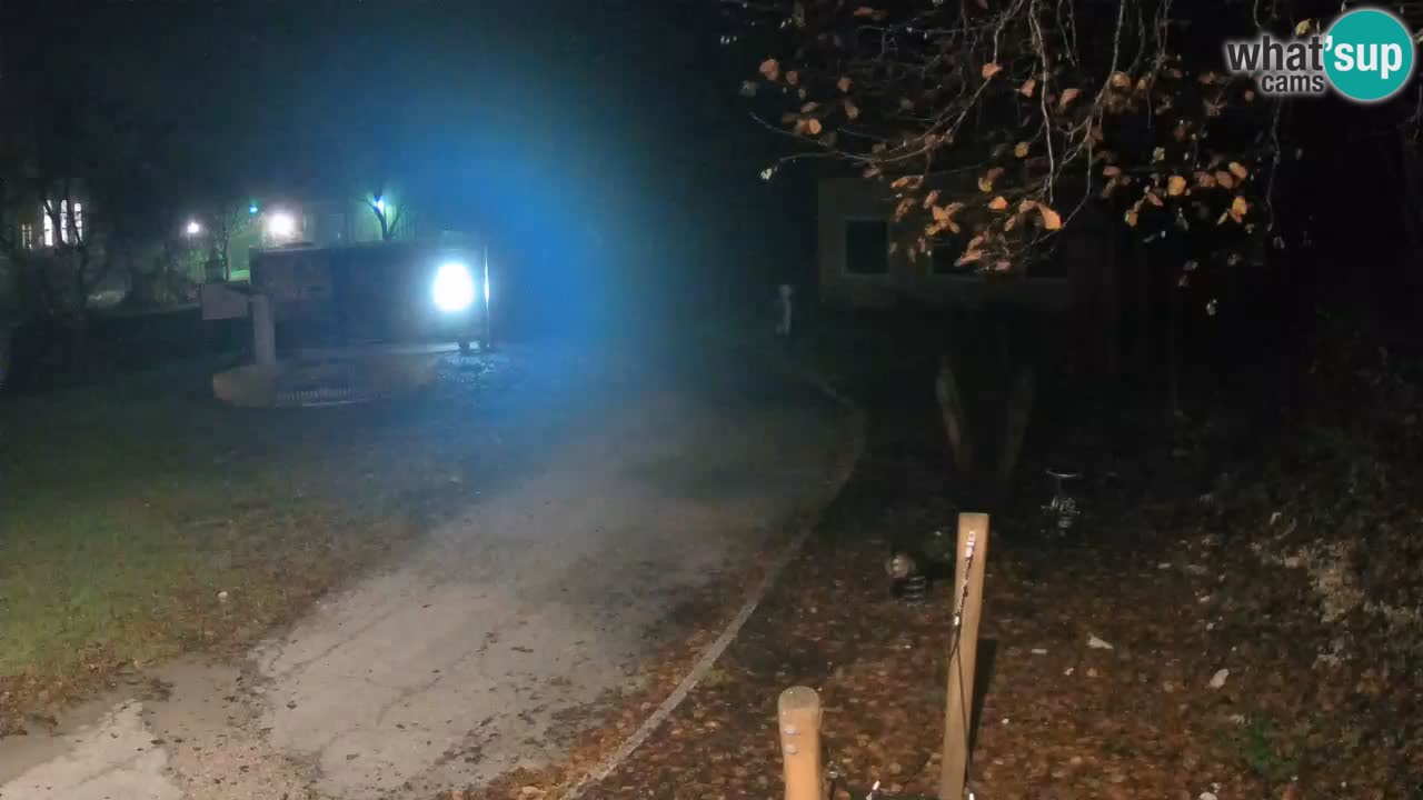 Skrad livecam Zeleni Vir