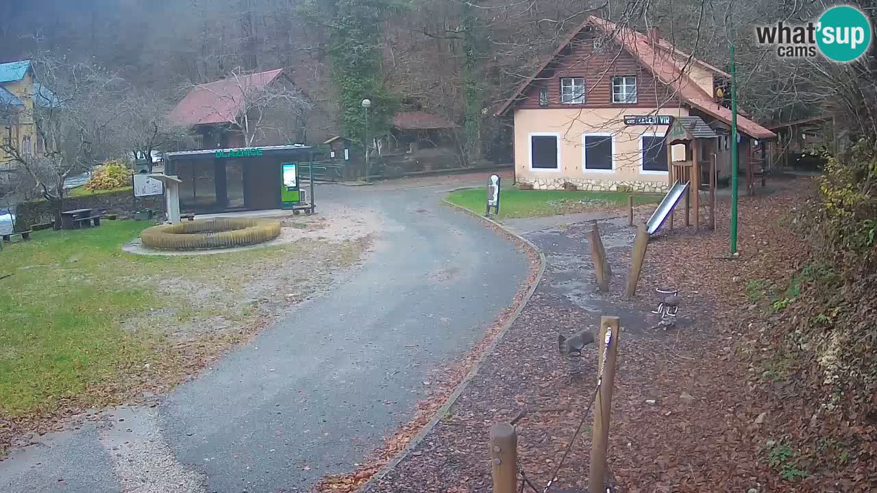 Skrad webcam Zeleni Vir