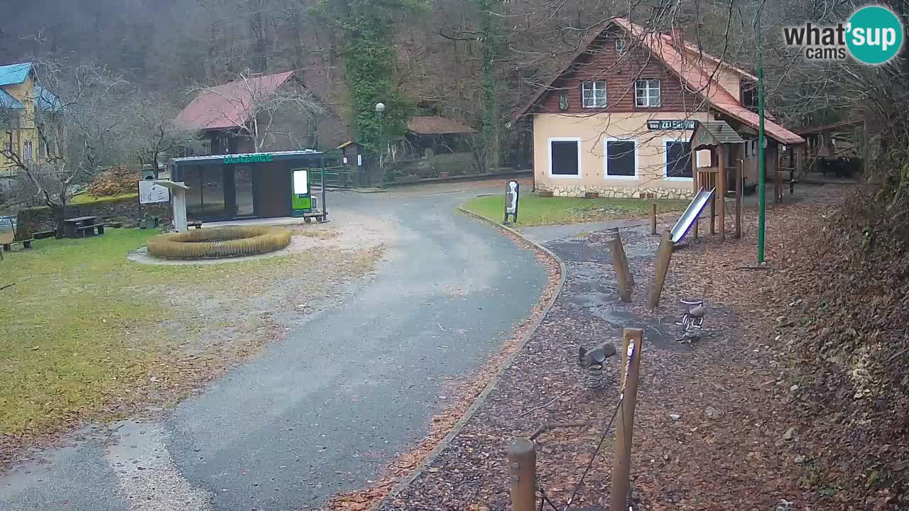 Skrad webcam Zeleni Vir