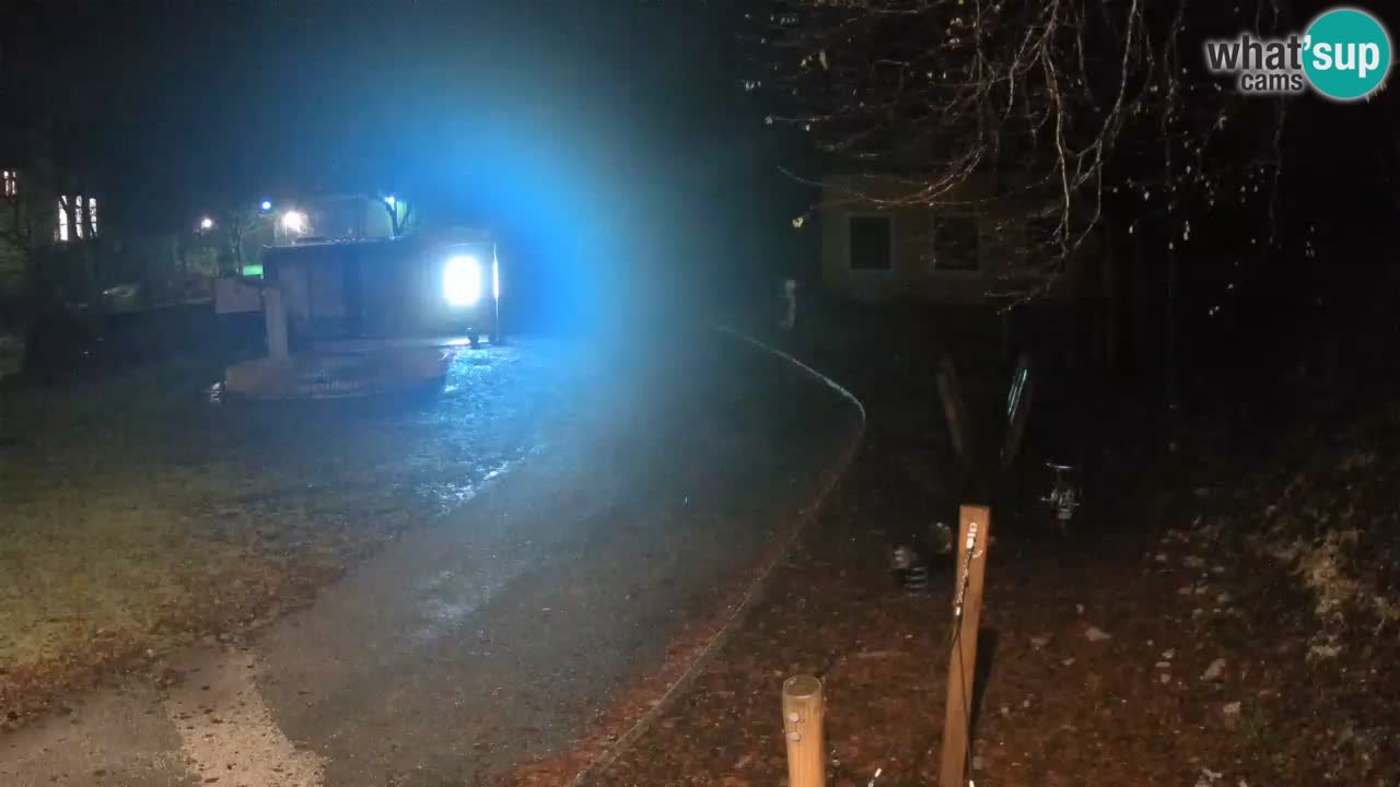 Skrad web kamera Zeleni Vir