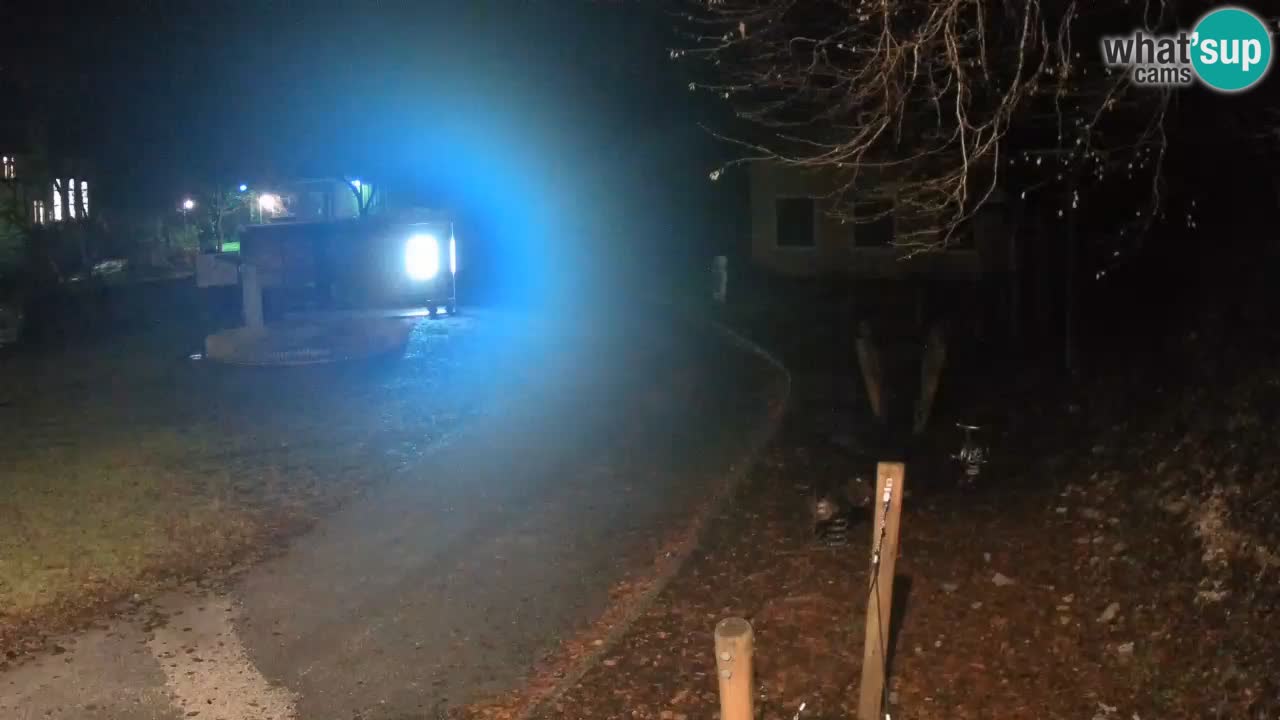 Skrad Livecam Zeleni Vir