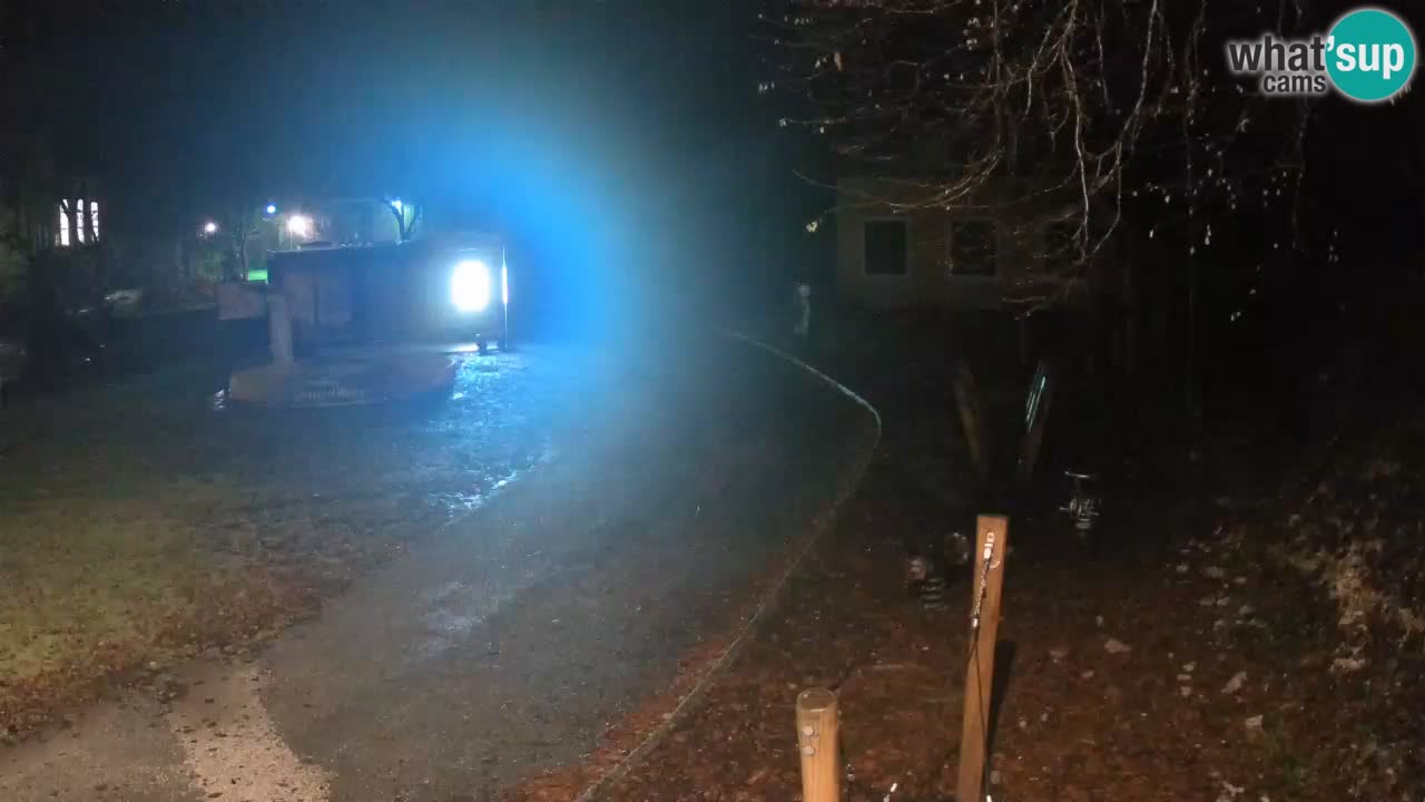 Skrad web kamera Zeleni Vir