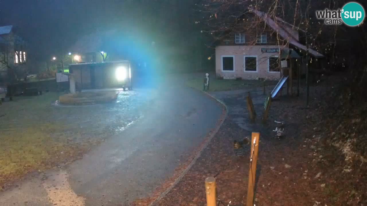 Skrad webcam Zeleni Vir