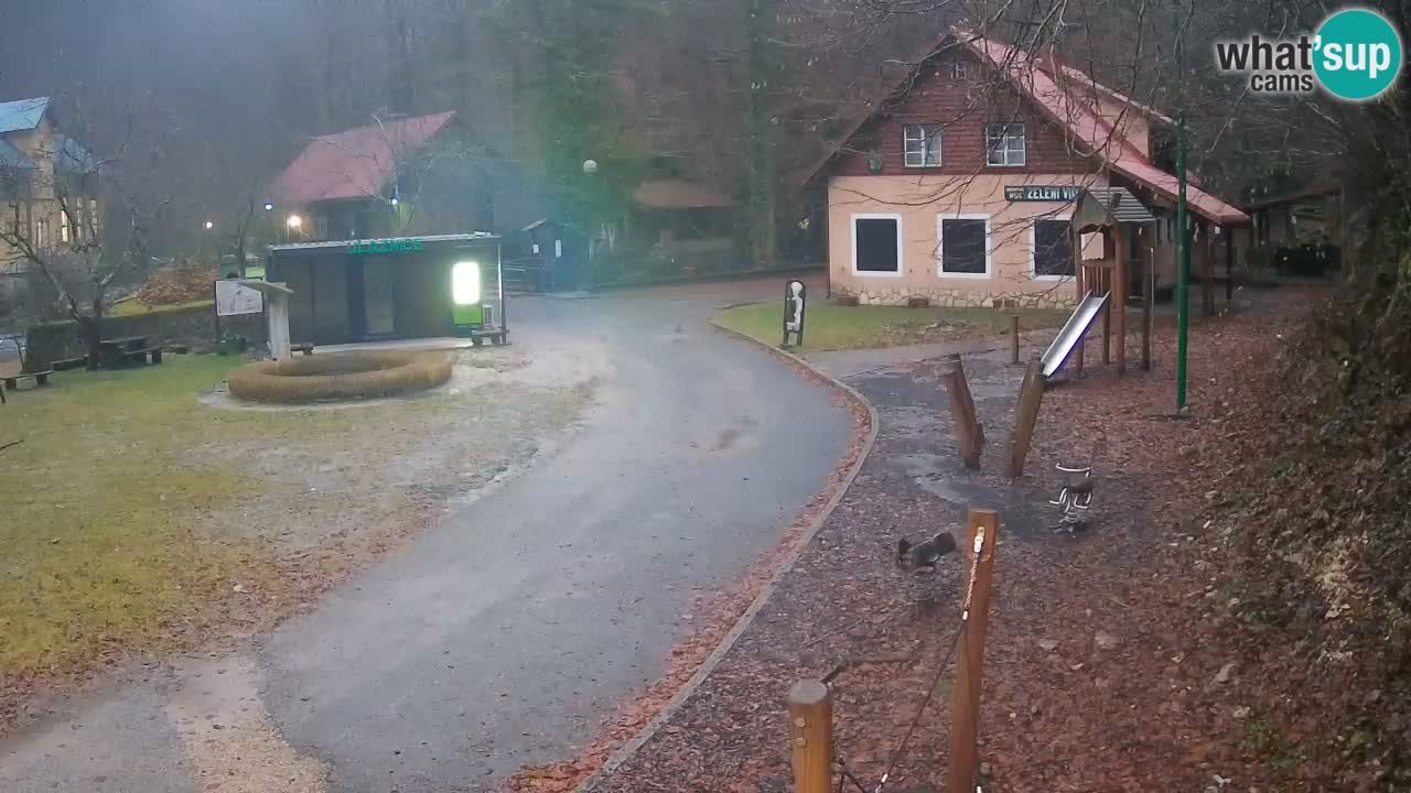 Skrad Livecam Zeleni Vir