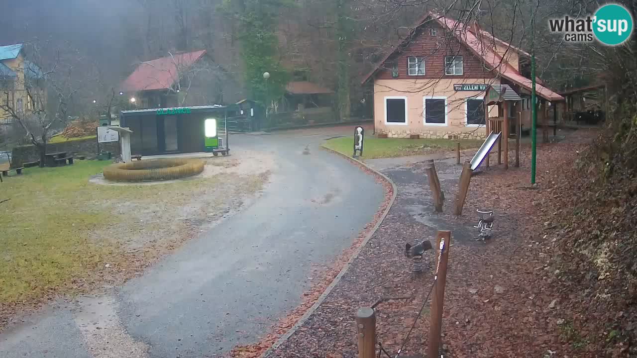 Skrad webcam Zeleni Vir