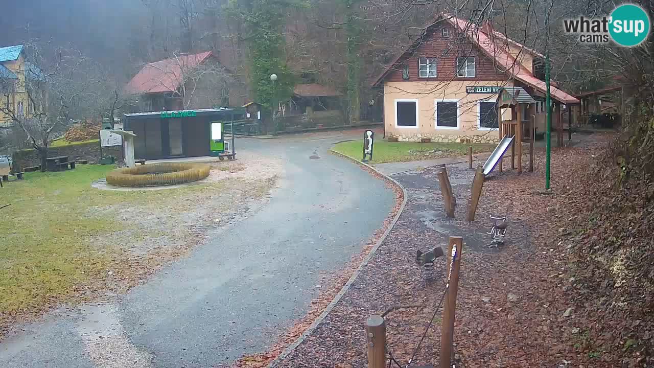Skrad spletna kamera Zeleni Vir