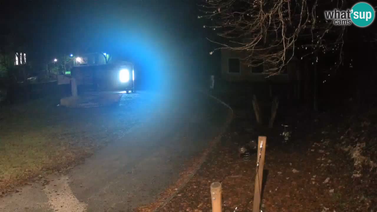 Skrad spletna kamera Zeleni Vir