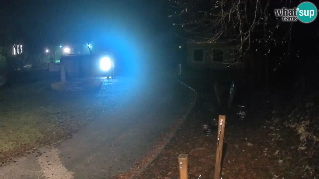 Skrad livecam Zeleni Vir