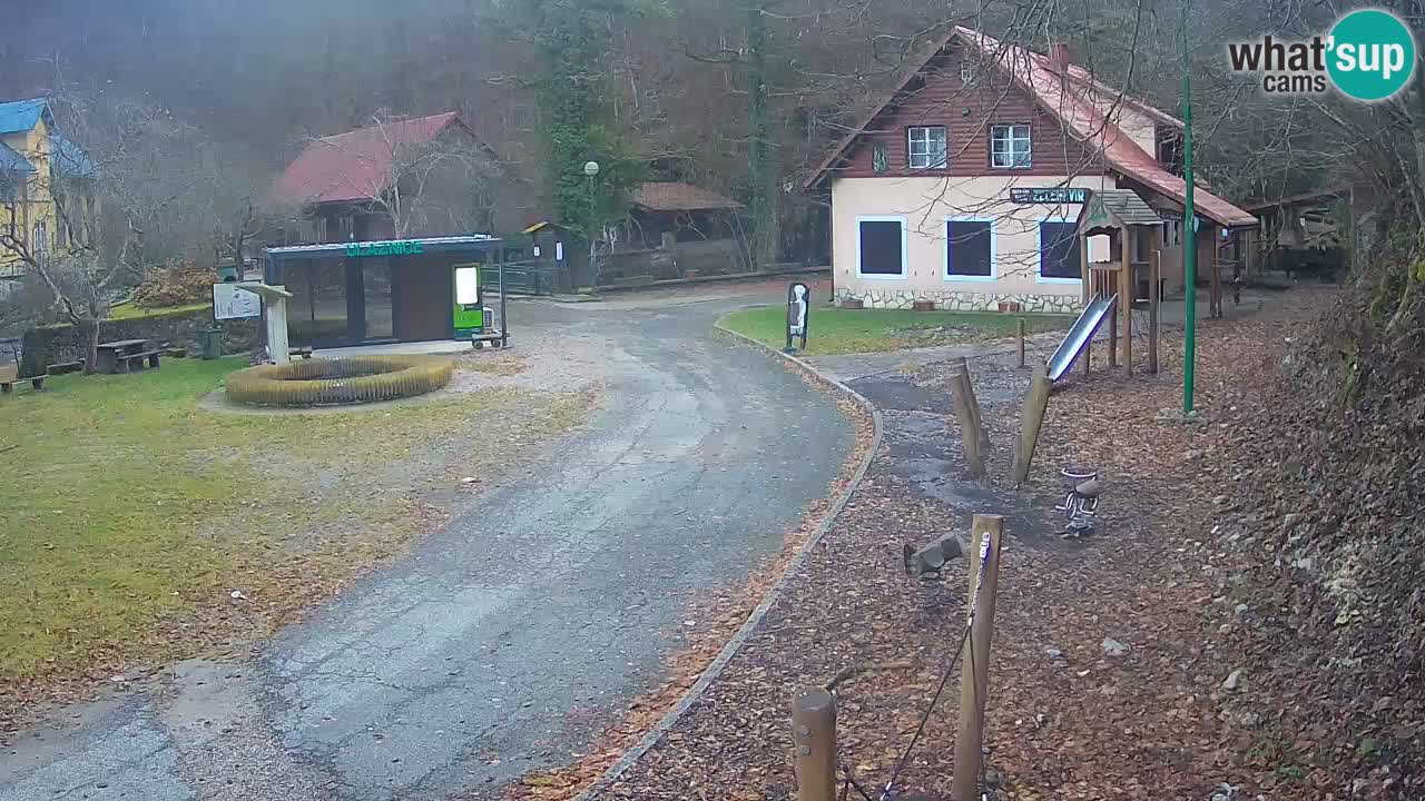 Skrad webcam Zeleni Vir