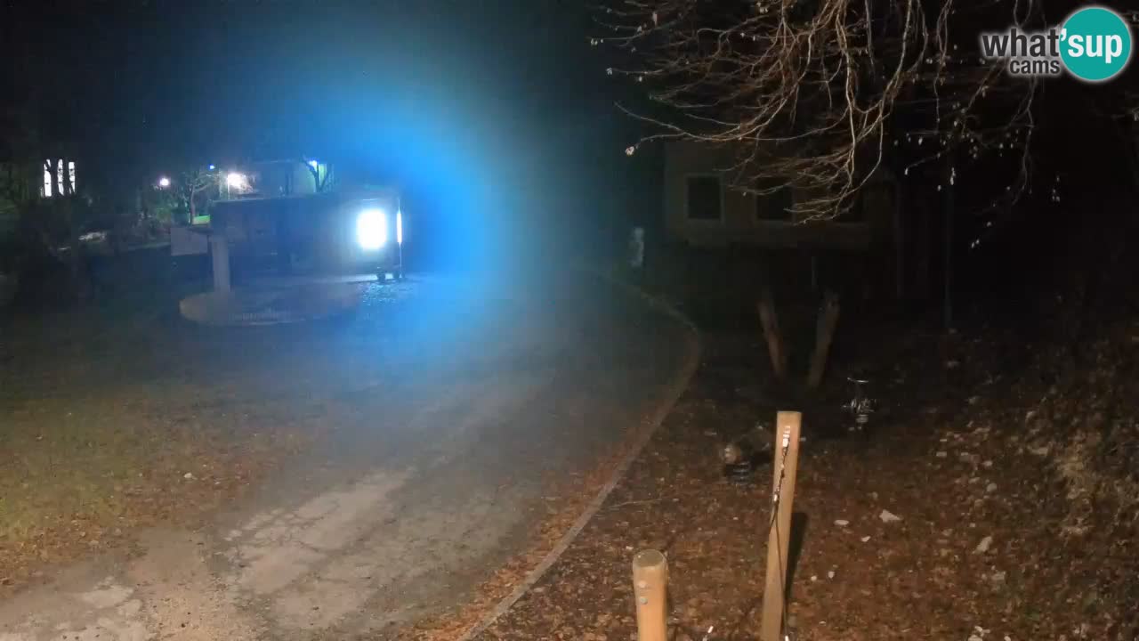 Skrad webcam Zeleni Vir